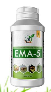 EMA-5