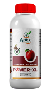 Power-XL